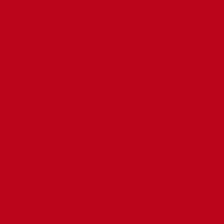 [RedCookies] ТЕНТ ДЛЯ ГУБ BROWNIE VELVET 4 г