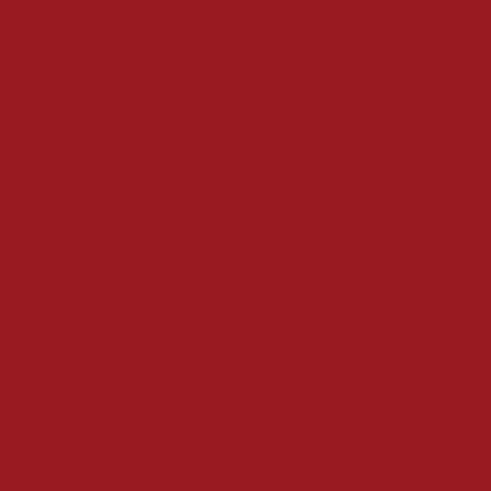 [RedCookies] ТЕНТ ДЛЯ ГУБ BROWNIE VELVET 4 г