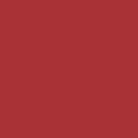 [RedCookies] ТЕНТ ДЛЯ ГУБ BROWNIE VELVET 4 г