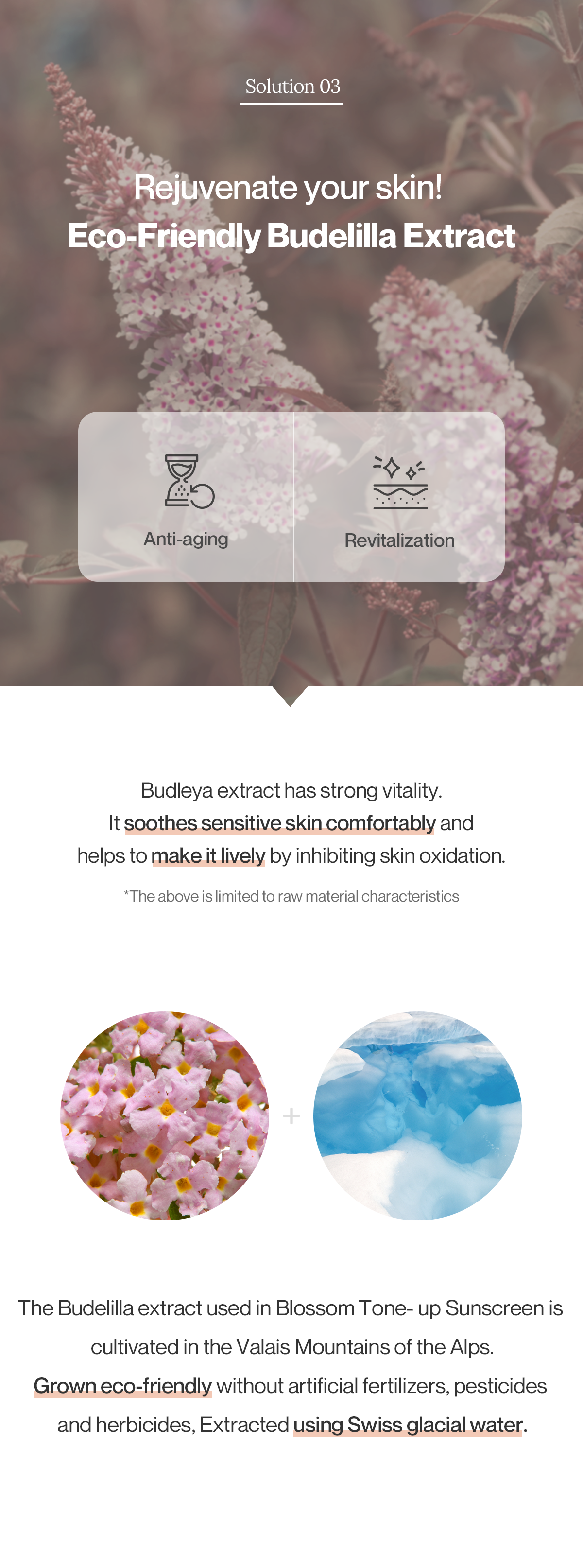 [REBLOCELL] Солнцезащитный крем Blossom Tone up SPF 50+ PA++++ 30 мл
