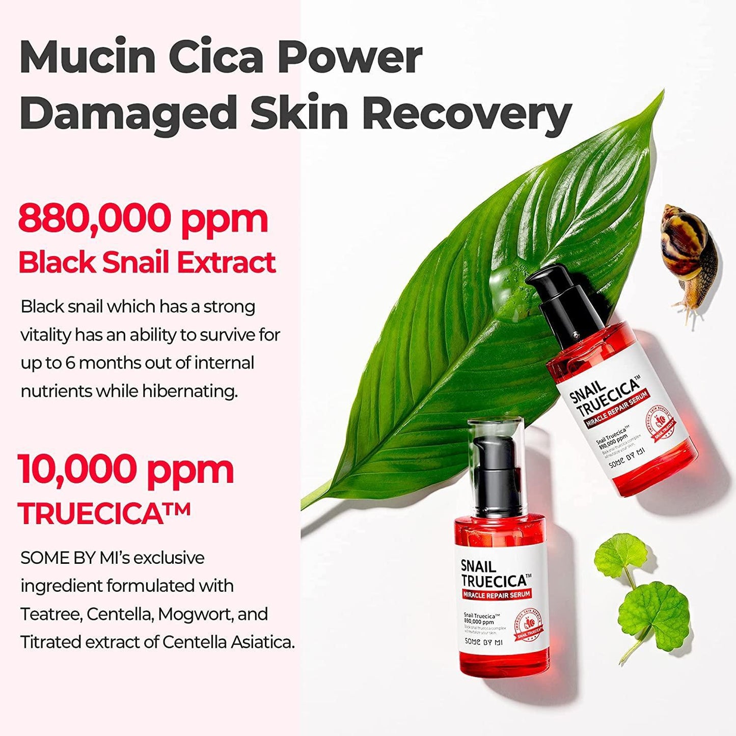 [SomeByMi] СЫВОРОТКА ДЛЯ ВОССТАНОВЛЕНИЯ SNAIL TRUECICA MIRACLE 50 мл