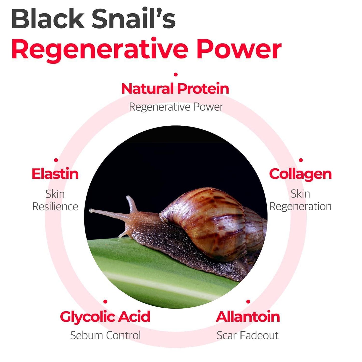 [SomeByMi] СЫВОРОТКА ДЛЯ ВОССТАНОВЛЕНИЯ SNAIL TRUECICA MIRACLE 50 мл