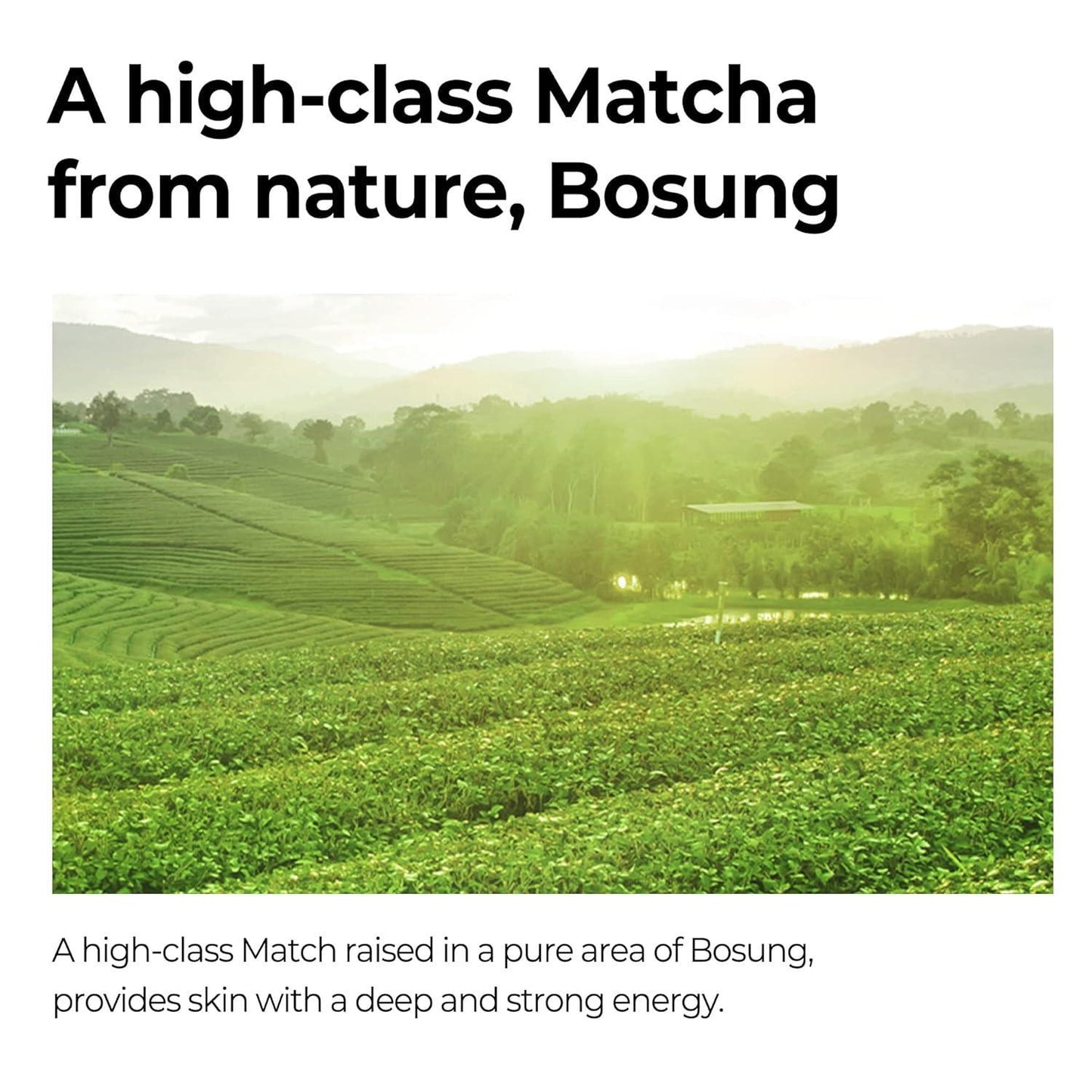 [SomeByMi] Сыворотка для сужения пор Super Matcha 50 мл